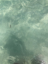 Load image into Gallery viewer, Be Water meditation